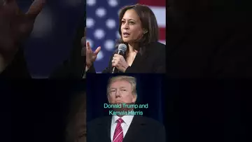 New poll shows Trump-Harris tied on the economy in key swing states #politics