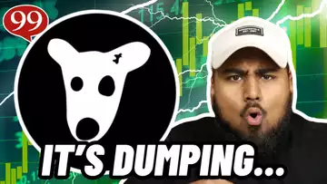 $DOGS IS DUMPING... SHOULD YOU SELL $DOGS MEME COIN?!