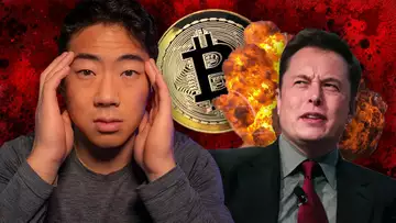 BITCOIN SPRING COMING SOON? & ELON MUSK TWEETS AGAIN!