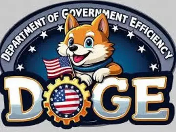 What Can the 'DOGE' Really do in Washington?