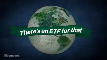 Climate ETF Offers A Scorecard on Business Environmental Efficiency