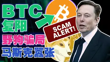 BTC囤币党扛大旗；野狗币新型骗局；币链何在“打卡”新加坡;微策略“干上”比特币;⻢斯克胜诉“气焰嚣张”