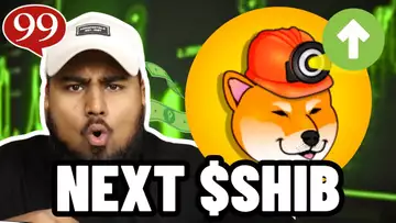 IS $MINU THE NEXT SHIBA INU?! This Meme Coin Has 100X Potential!