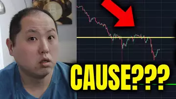 WHAT CAUSED THE BITCOIN CRASH???