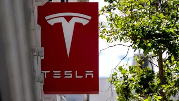 Tesla Profit Slumps as Musk Ties Fortunes to Robotaxis