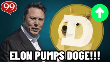 ELON MUSK PUMPS DOGECOIN AGAIN! BUY $DOGE NOW!