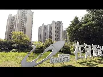 China Developer Country Garden Gets Winding-Up Petition From Creditor