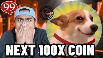 IS SUNDOG THE NEXT DOGECOIN?! Next 100X Crypto Meme Coin on TRX!