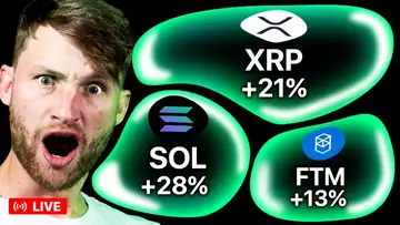 THIS Pullback Will RESET ALTCOINS For An EXPLOSIVE Move!