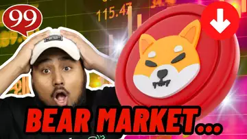 BEAR MARKET HERE?! WHAT DOES IT MEAN FOR SHIBA INU?!