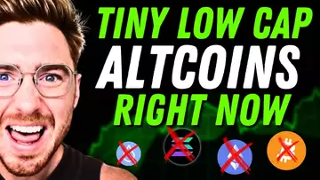 Top Altcoins & Low Cap Gems i'm Buying Now!? (He Just BOUGHT $100,000 of this COIN!!!)