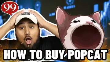 How to Buy Popcat in 2 Minutes