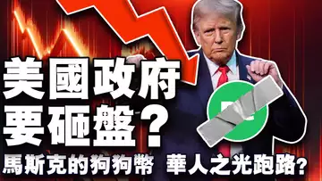 马斯克坐拥多少狗狗币？美国抛售20亿比特币？拜登赦免“小拜登”；巴西禁止提现自保钱包；“华人之光”卷款跑路？20241203