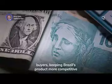 US Farmers Feel the Fallout of Brazil's Currency Woes | Presented by CME Group