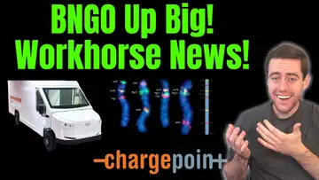 Let's Talk Workhorse Stock, BNGO Stock, and More!