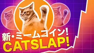 新しい猫ミームCat Slapをご紹介！今後の盛り上がりに大注目！！【仮想通貨】