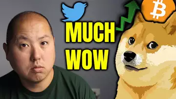 Dogecoin PUMPS to the Moon...How High? | Bitcoin Rally Next?