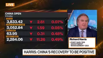 Equities Are Better Bet Than Bonds: Port Shelter’s Harris