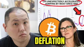 BITCOIN HOLDERS....CATHIE WOOD WARNS OF DEFLATION