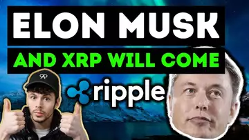 ELON MUSK XRP IS INEVITABLE... (Daily Market Update #13)