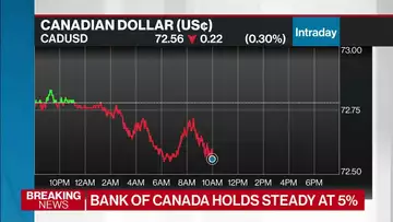 Bank of Canada Keeps Rates at 5%, Highest in 22 Years