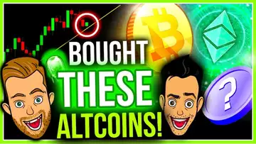 BUYING THESE ALTCOINS ON THE DIP! (BEST OPPORTUNITY)