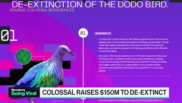 Going Viral: $1B Startup Aims to Revive Extinct Dodo