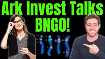 Ark Invest Talked BNGO Stock! YouTuber Reached Out To Ark! What We Need To Realize...