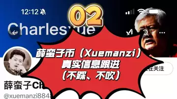 02、薛蛮子币（xuemanzi）真实信息跟进（不踩、不吹）