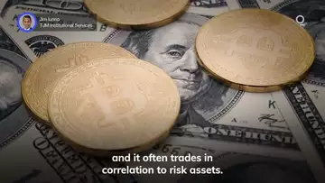 Is Bitcoin a Dollar Hedge or a Risk Asset? | Presented by CME Group