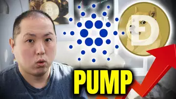 CARDANO AND DOGECOIN PUMPING!!! WILL IT CONTINUE?