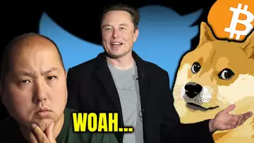 Elon Leaks His New Idea For Twitter...Dogecoin Part Of It?