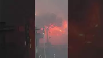 Watch: Wildfires kill 6 in Hawaii- terrifying video #shorts #bloomberg