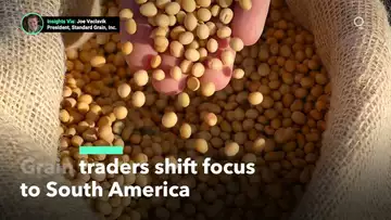 Grain Traders Shift Focus to South America