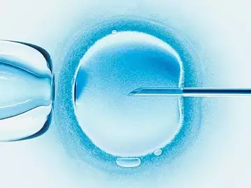 Some companies are trying to eliminate human errors in IVF labs