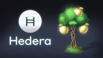 What is Hedera Hashgraph? HBAR Explained with Animations