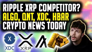 WHO IS THIS RIPPLE XRP COMPETITOR? XDC, QNT, HBAR & MORE - CRYPTO NEWS TODAY