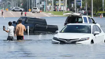 Rep. Wasserman Schultz on Hurricane Milton Devastation