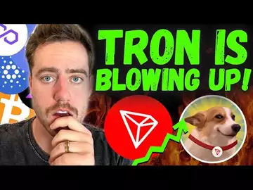 THE NUMBER ONE MEMECOIN ON TRON (TRX)!