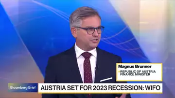 Austria's Brunner Sees Economy in Recession at Year-End