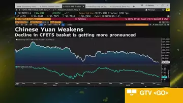 China Steps Up Yuan Surveys as Selloff Worsens