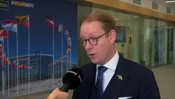 Sweden FM: 'High Hopes' to Join NATO Pre-Vilnius Summit