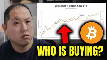 WHO IS BUYING BITCOIN? RETAIL OR WHALES?