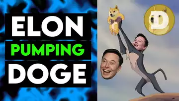 WHY IS ELON MUSK PUMPING DOGE? (Daily Market Update #6)