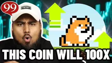 THIS CRYTO MEME COIN CAN 50X TO 100X YOUR MONEY! PLAYDOGE BEST P2E DOGE COIN