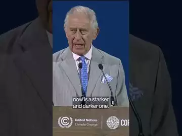 COP28: How dangerous are we prepared to make our world? King Charles asks