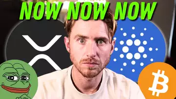 🚨XRP RIPPLE, CARDANO ADA & MEMECOINS... WHY NOW!!?? (Move Fast)