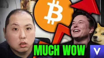 BITCOIN IS INEVITABLE ACCORDING TO ELON MUSK!!! BTC, DOGE, VGX PUMPS!!!