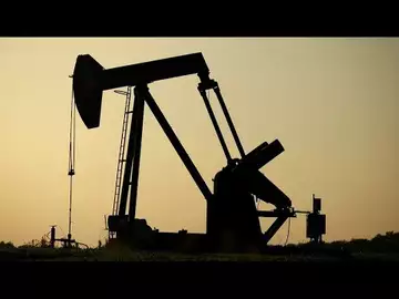 Global Economy Weighing on Oil Sentiment: Hari