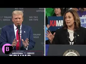 US Election: Trump, Harris Ramp Up Election Campaigns, Musk Plans $1 Million Handouts